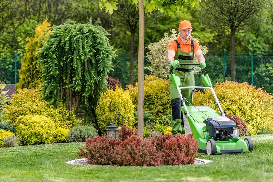 Professional Landscaping Services