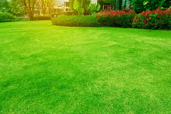 Other Services by ABC Sprinkler