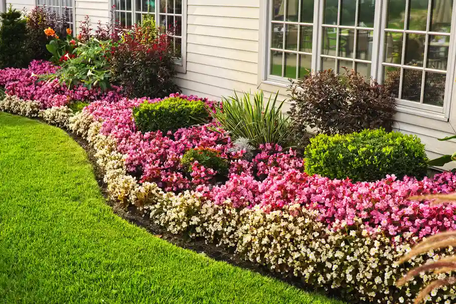 Seasonal Landscaping Tips For A Vibrant Residential Lawn in Katy, TX Seasonal Landscaping Tips For A Vibrant Residential Lawn in Katy, TX