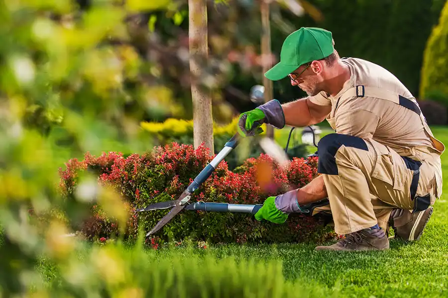 Trusted landscaping contractor in Katy, TX